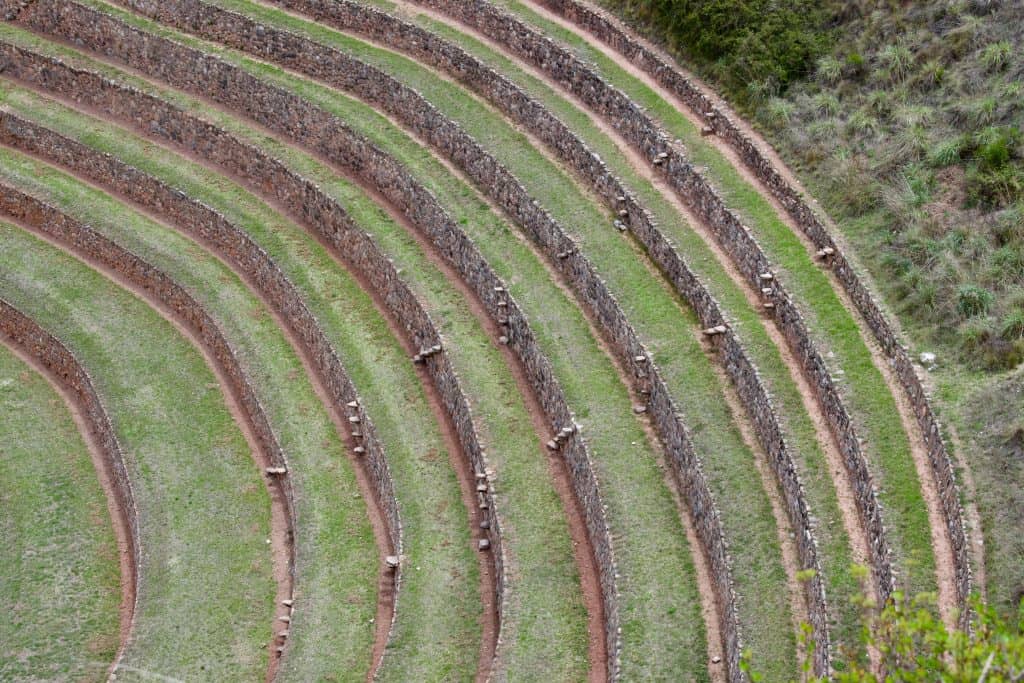 Terraced agricultural fields, similar to those used by Native Americans, promoting water conservation, aligning with Second Harvest Food Bank's mission against hunger